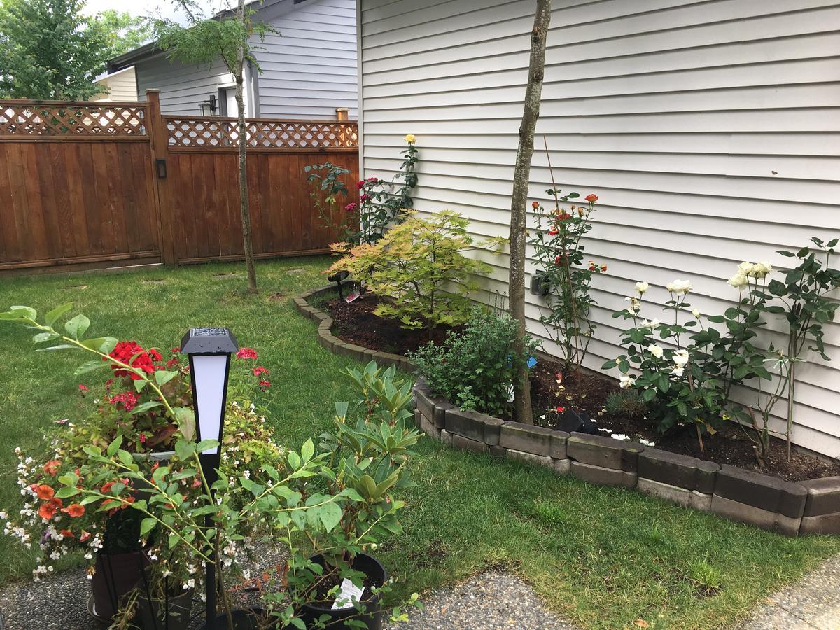 Albion Stay Maple Ridge Exterior photo